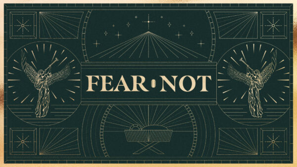 Fear Not - Week 2 Image